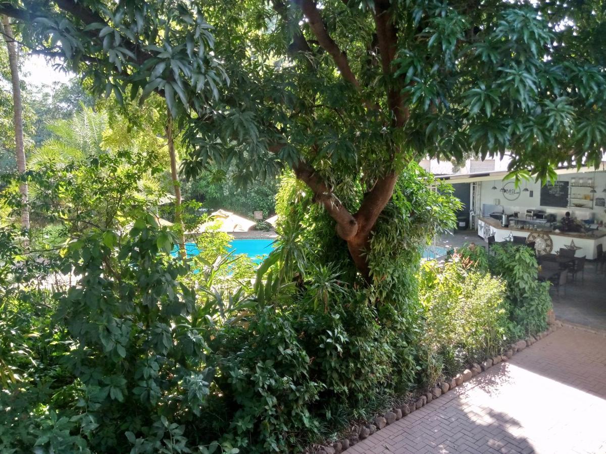 Fawlty Towers Accommodation & Activities Livingstone Exterior foto