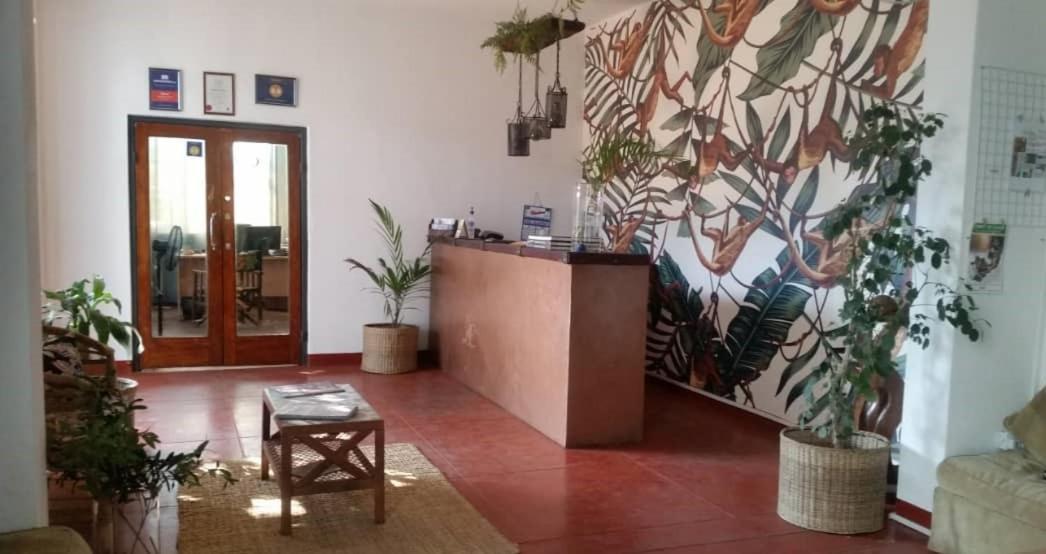Fawlty Towers Accommodation & Activities Livingstone Exterior foto